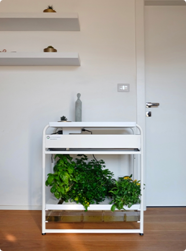 Vertical Farm Microfarm