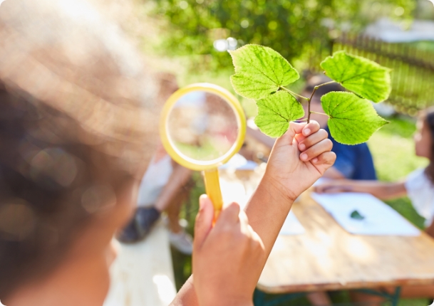 Serre per ortoterapia a scuola