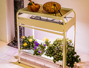 Hydroponic System in Vertical Farming
